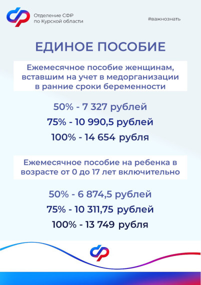 С января 2024 года увеличен размер ряда детских пособий, выплачиваемых Отделением СФР по Курской области.